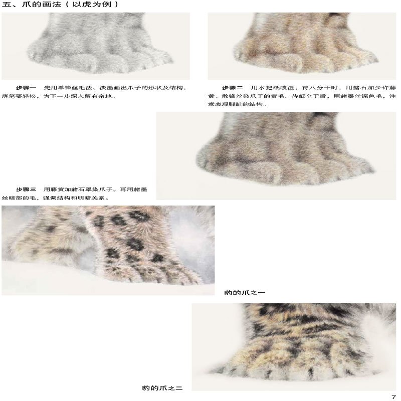 [正版]正邮 工笔猛兽技法 名家国画示范教程 徐文略 工笔国画 动物画法 中国画技法书籍 国画临摹范本画册画集作品集