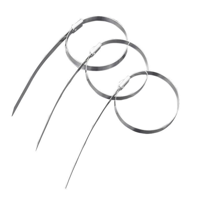 历途科技 不锈钢扎带4.6*400MM 100根/包高清大图