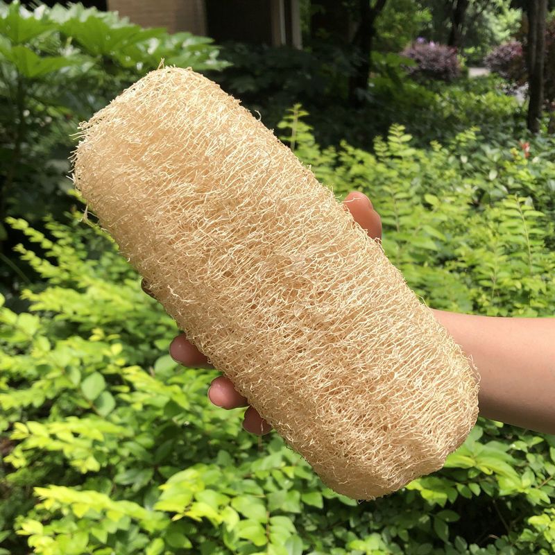 细的5060cm2条丝瓜络洗碗老丝瓜瓤洗碗布厨房洗锅刷丝瓜藤天然丝瓜囊