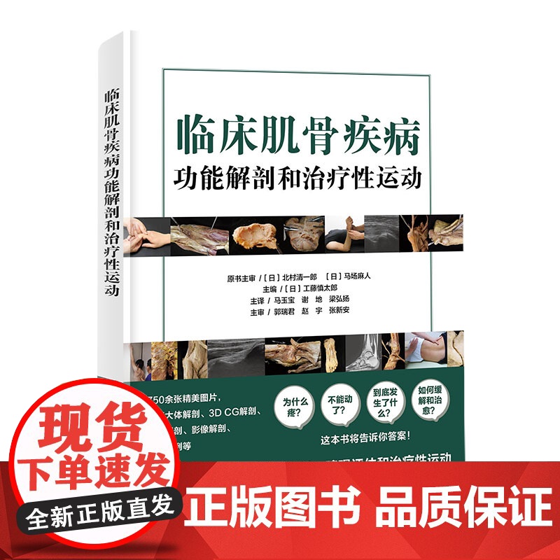临床肌骨疾病功能解剖和治疗性运动 肌骨功能障碍 功能障碍康复 治疗性运动 北京科学技术高清大图