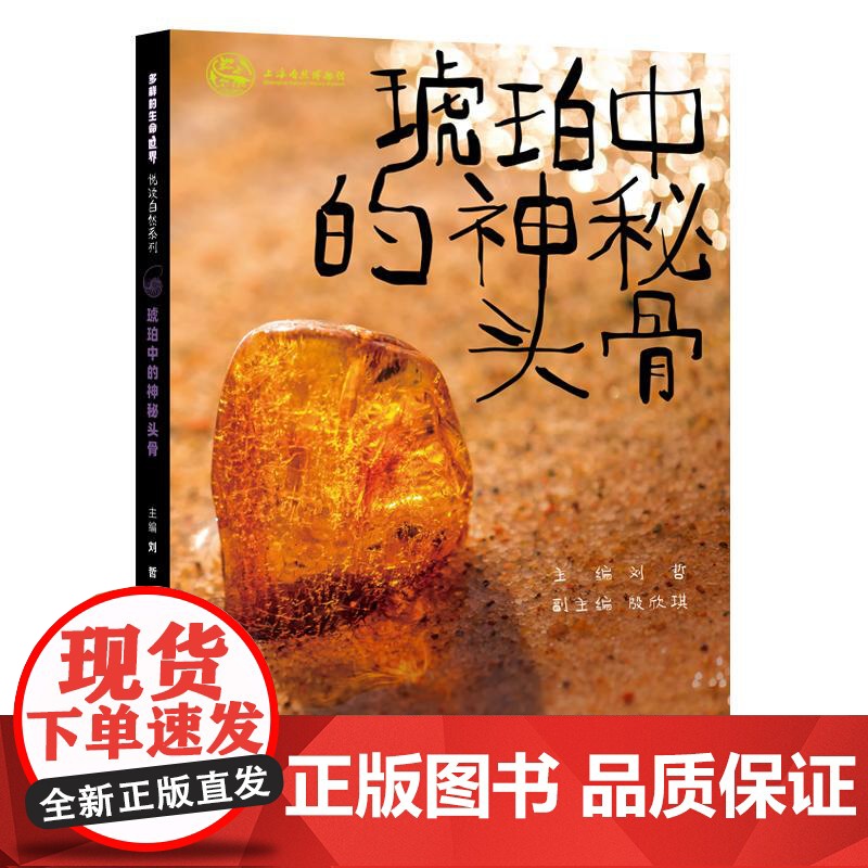 琥珀中的神秘头骨 多样的生命世界·悦读自然少年儿童出版社高清大图