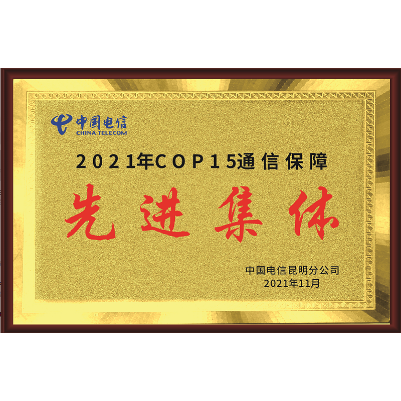 云兔 木质金箔/银箔奖牌定制定做牌匾40*60cm也可定制尺寸 企业定制60*40cm