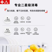 埃利斯（AILISI）138L立式家用商用高温二星级 厨房碗筷餐具茶杯双门大容量触摸款ZTP-138C1