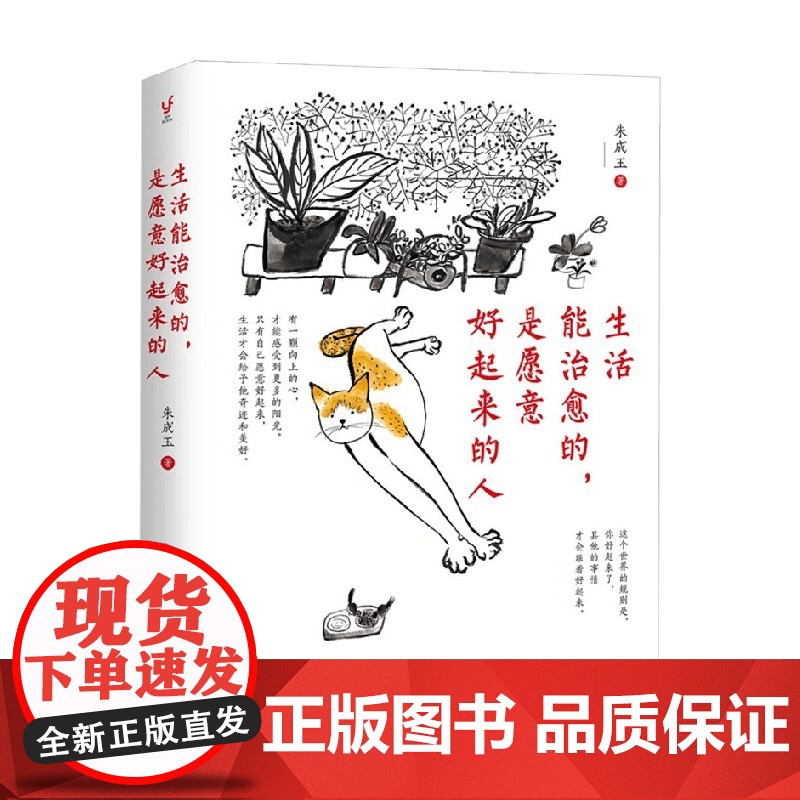 生活能治愈的 是愿意好起来的人 朱成玉 著 励志与成功高清大图