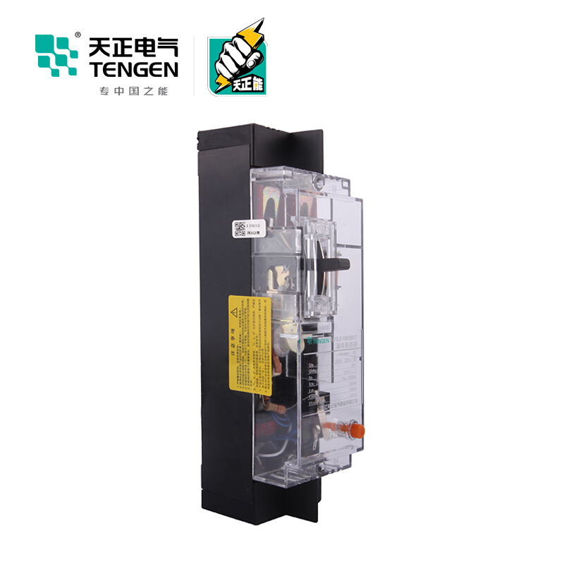 天正电气 DZ15LE-100 5KA 热磁式 63A 2P手动固定式380V 01020010272塑壳漏电保护断路器