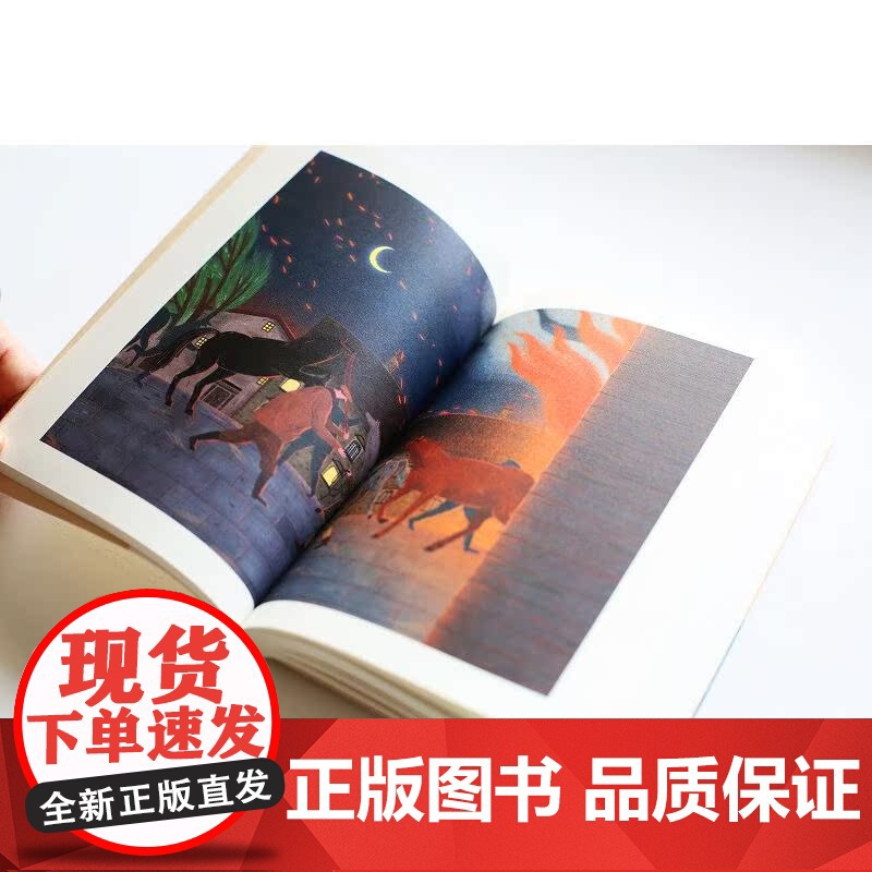 黑骏马 中文分级阅读K4 亲近母语系列 9-10岁亲近母语系列儿童文学 四年级小学生课外阅读书籍必读经典书目少儿读物 果高清大图