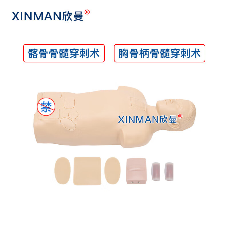 欣曼科教 骨髓穿刺模拟人 骨髓穿刺训练模型 医学教学人体模型XM-1011高清大图