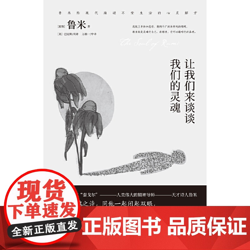 让我们来谈谈我们的灵魂(2020全新修订版,张德芬、武志红诚挚) 鲁米 湖南文艺出版社 正版书籍高清大图