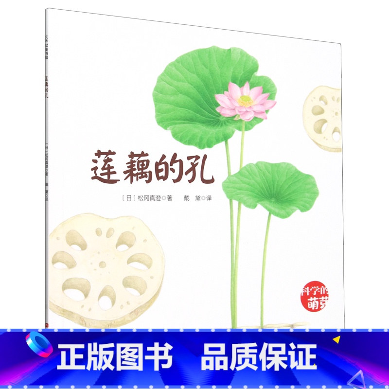 莲藕的孔 【正版】莲藕的孔