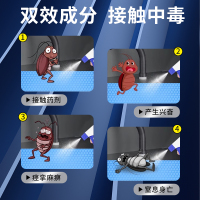 蛆虫-美顿邦-杀虫喷射剂0.3%-扁瓶zsj