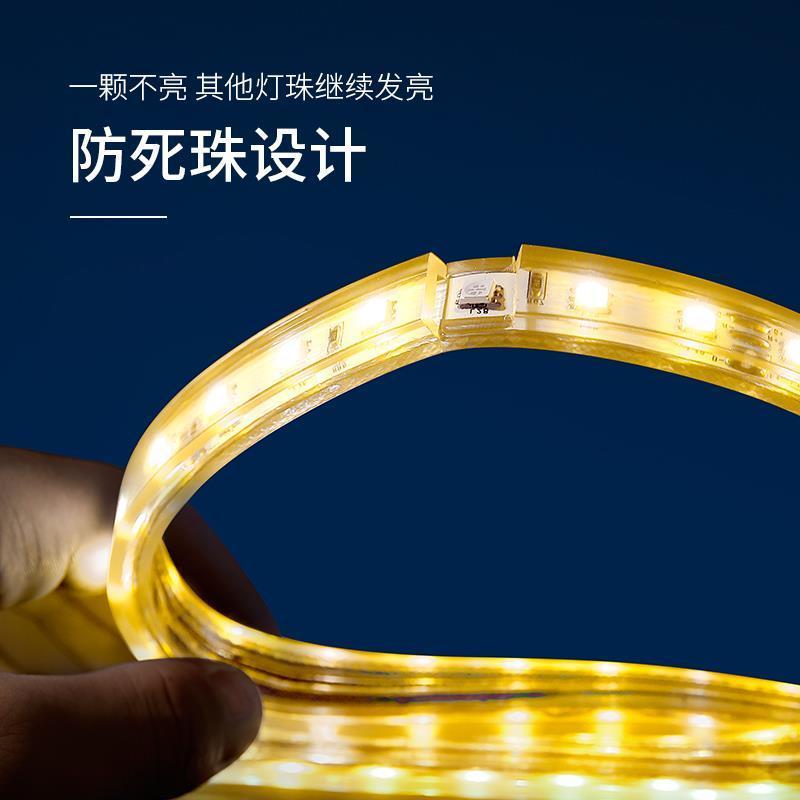 led灯带客厅吊顶灯带条装饰高亮60珠变色贴片软灯220v 三色光灯带专用插头CTSS-2835 其它其它