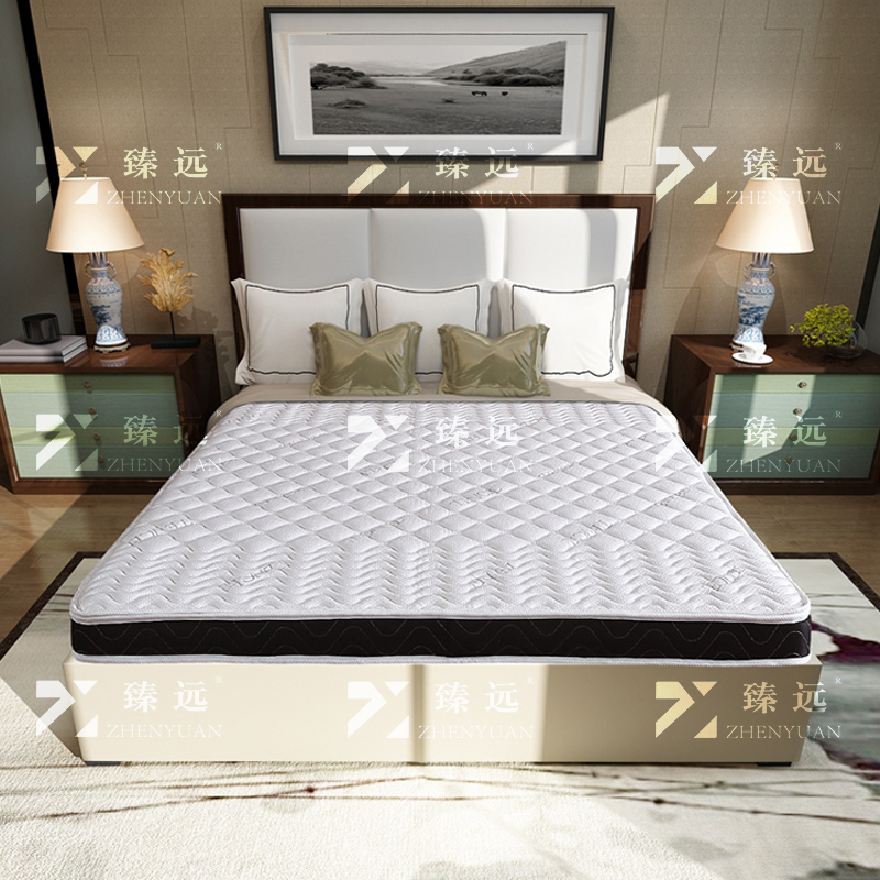 臻远 ZY3120902棕垫护脊3E椰棕床垫1200*2000高清大图