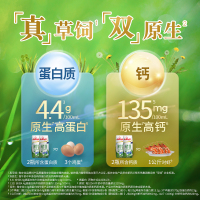 安佳 纯牛奶 4.4g/100ml高蛋白牛奶 250ml*10盒 新西兰进口