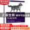 正版 Jenkins 2权威指南 (美)Brent Laster著 电子工业出版社 978