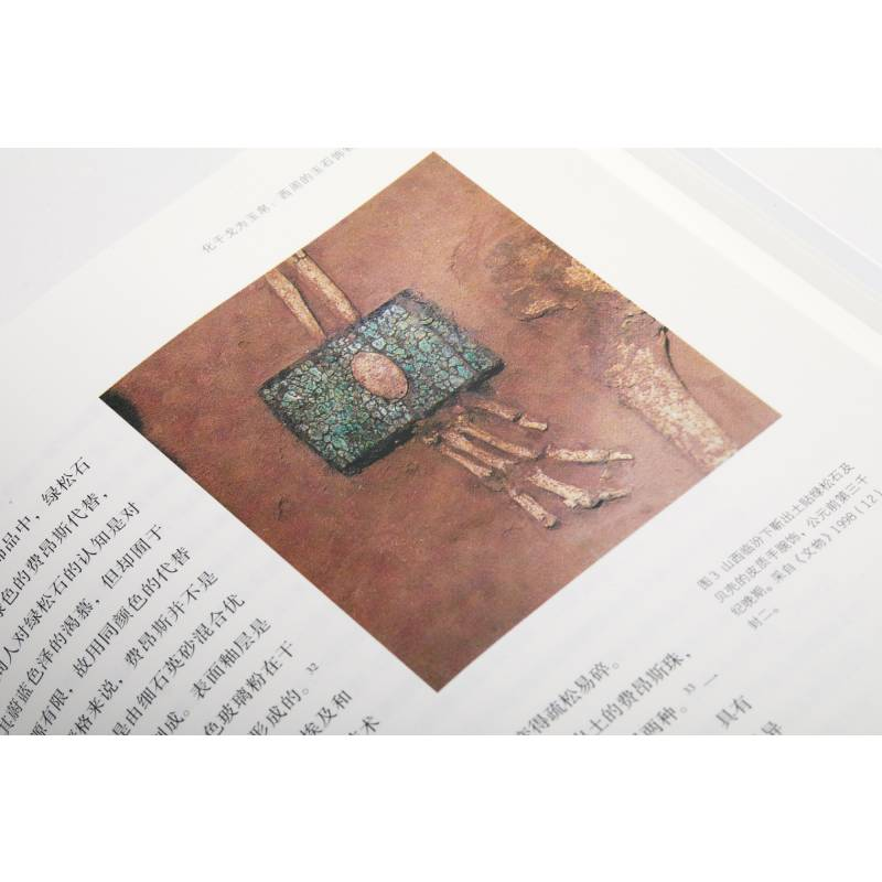 醉染图书琢玉成器 考古艺术史中的玉文化9787547926925