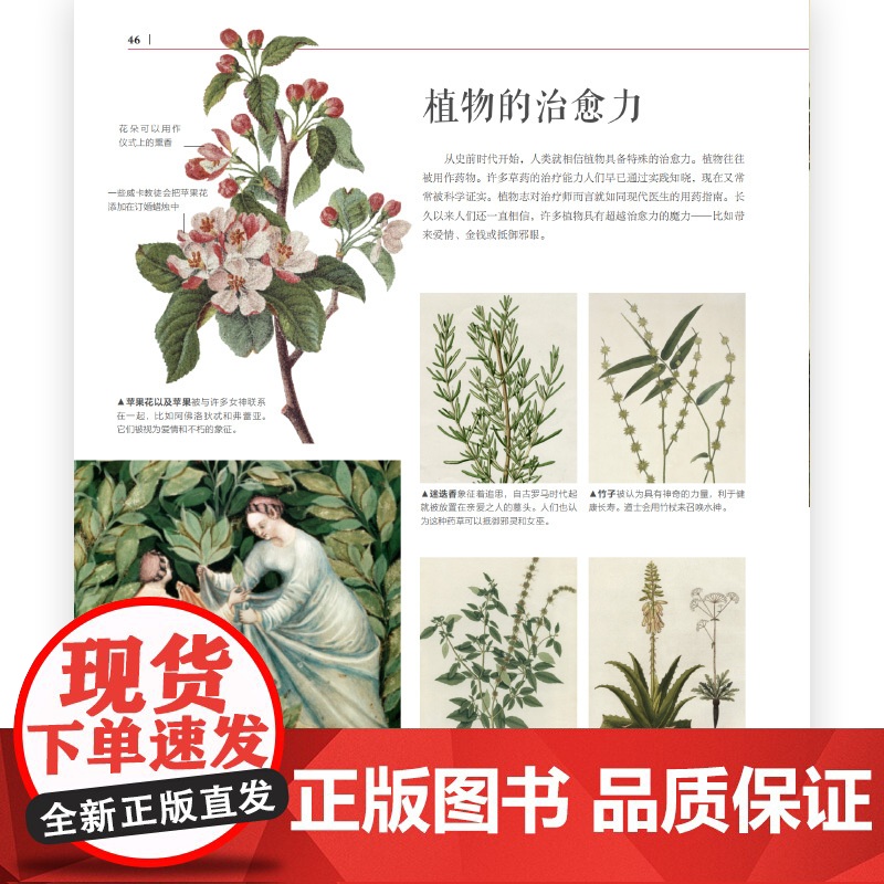 [赠徽章]DK魔法百科 魔法神秘学象征符号魔法百科图鉴关于各地魔法信仰与实践的百科全书博物馆式体验 展现魔法世界高清大图