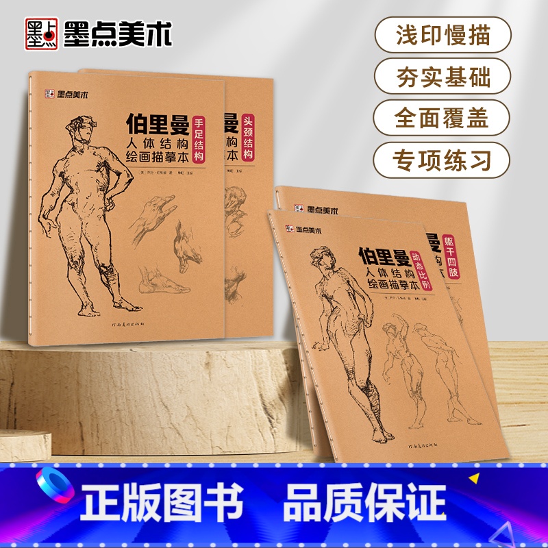 【正版】伯里曼人体结构绘画教学人体结构入门描摹本解剖动态骨骼透视艺考生美术生人体素描速写临摹基础初学者入门自学练习本