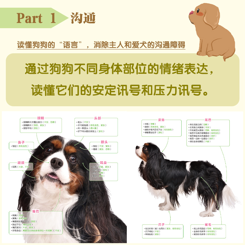 宠物狗美容图解教程:清洁、护理、造型 [正版]宠物狗美容图解教程日本犬业协会权威美容师编写 提升爱犬和主人幸福感的指导手高清大图