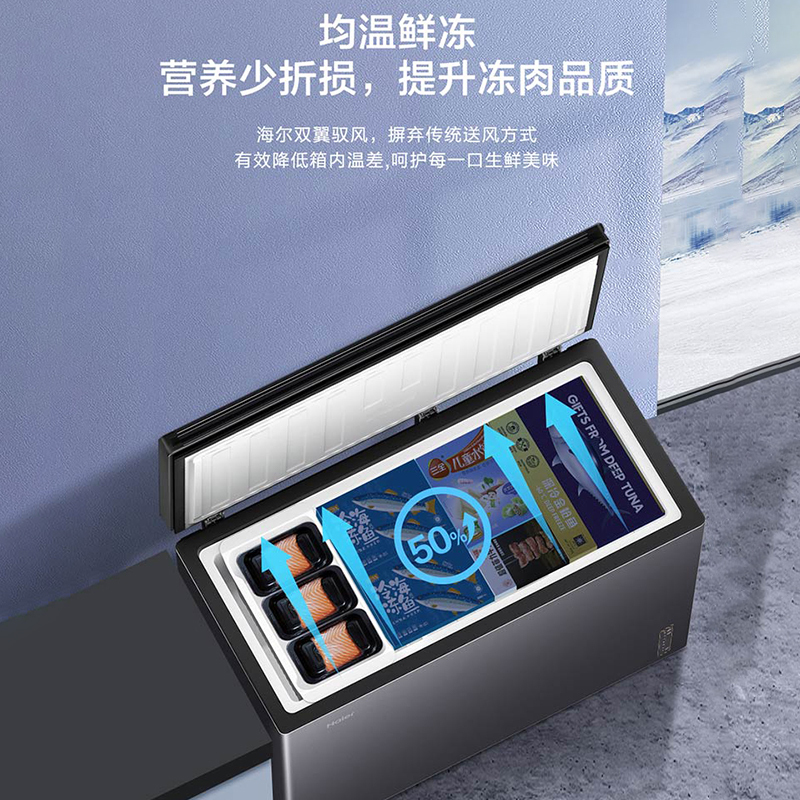 海尔(Haier)300升大容量风冷无霜深冷速冻黑金净化家用商用冷藏柜冷冻柜小冰箱冷柜BC/BD-300WGHEC高清大图