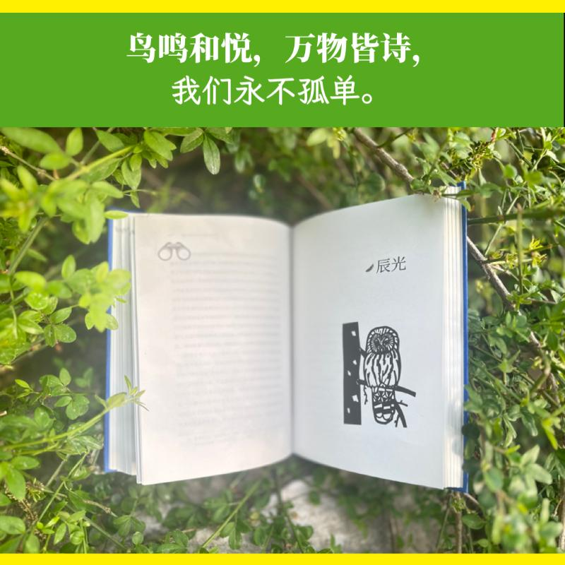 醉染图书抓住十二只喜鹊的尾巴9787020177875高清大图