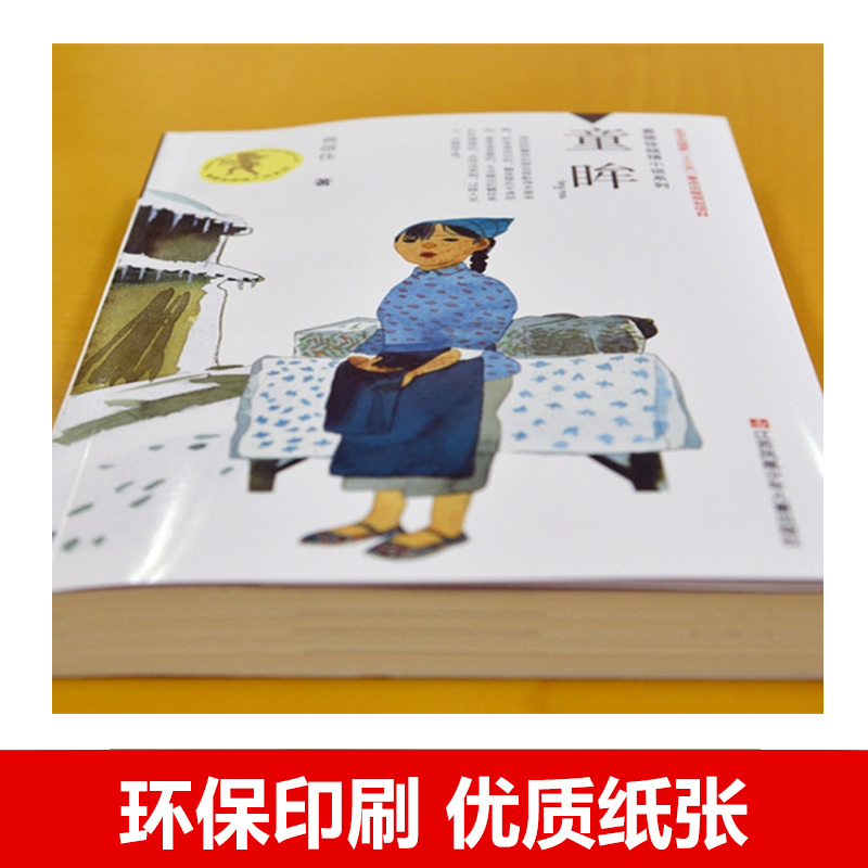 童眸 [正版]童眸书 黄蓓佳倾情小说系列书籍学校读物儿童文学暑假课外书阅读读物三四五六年级小学生课外阅读高清大图