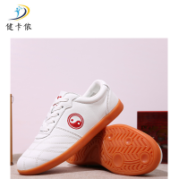 健卡侬太极鞋JX19/双
