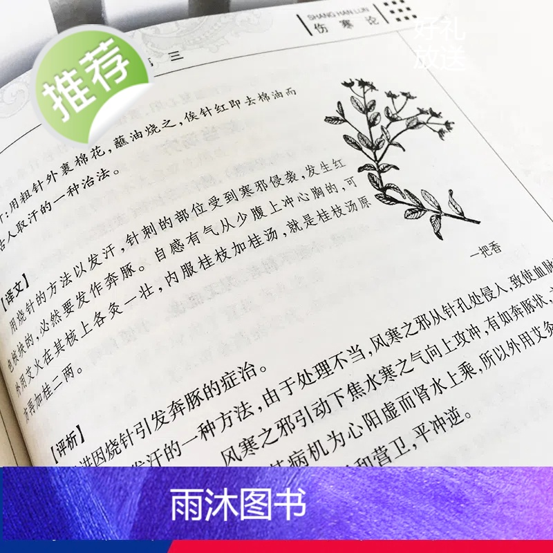 全5册伤寒论+千金方+本草纲目+黄帝内经+偏方秘方正版张仲景古代医学经典外感热病治疗规律伤寒杂病论张仲景 中医医学书高清大图