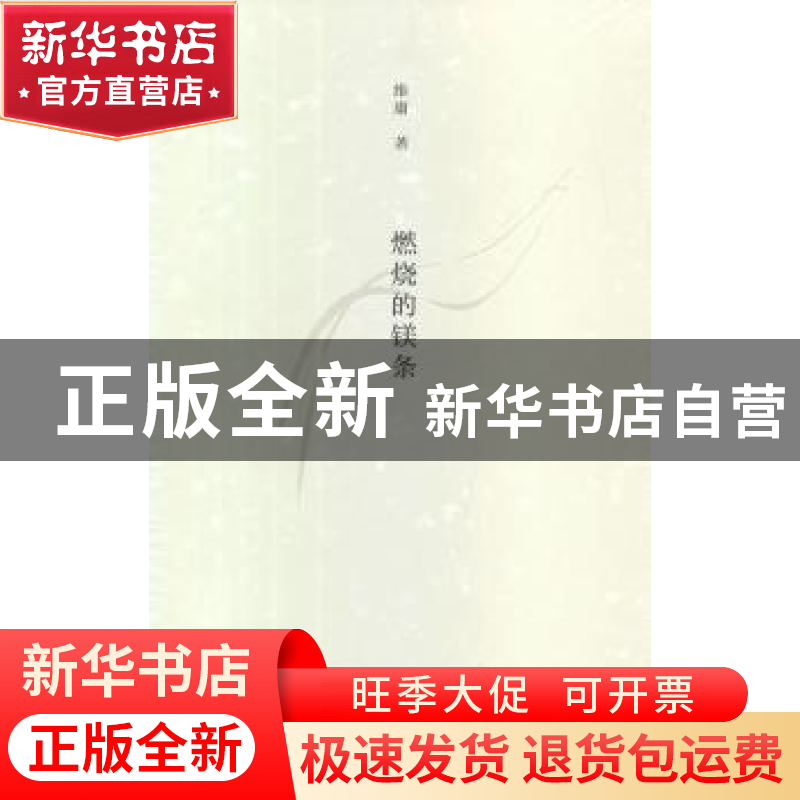 正版 燃烧的镁条 维庸著 文化艺术出版社 9787503955198 书籍