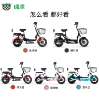 绿源新款电动自行车新国标小型成人电动车FBR双人男女代步电瓶车