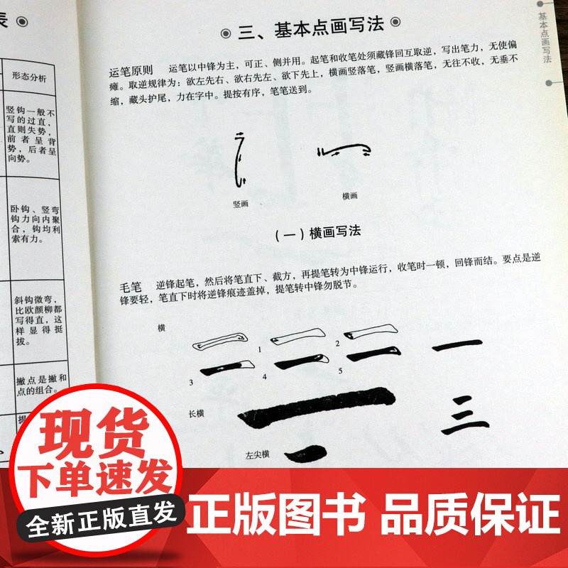 4册 中小学写字一本通·王羲之+颜真卿+欧阳询+赵孟頫 小学生青少年毛笔字入门初学者套装练字帖基本笔画间架结构正版书籍高清大图