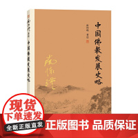 南怀瑾本人授权 中国佛教发展史略（第二版）南怀瑾著作 复旦大学出版社南怀瑾选集 哲学宗教国学经典书籍 正版书籍