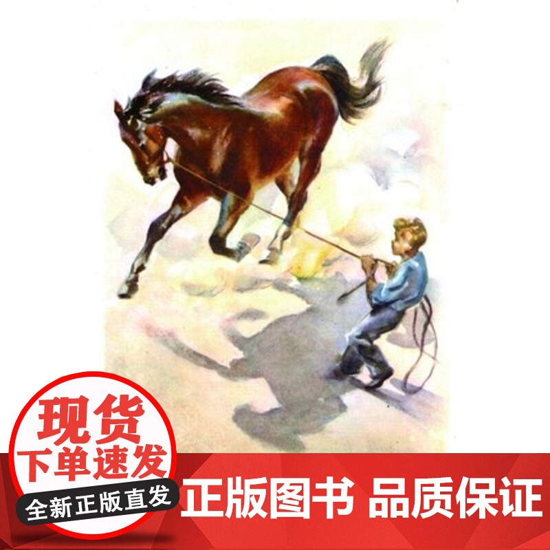 小红马 夏洛书屋美绘版 约翰斯坦贝克 美国知名插画家绘 儿童故事书 成长小说 少儿读物 儿童文学 精装 上海译文出版社高清大图