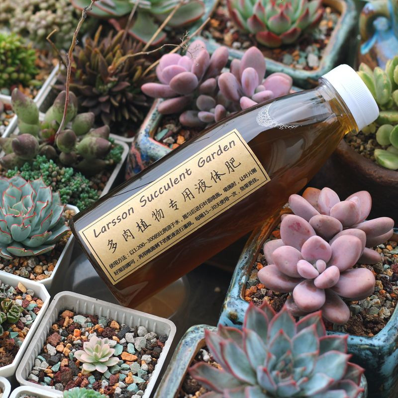 拉尔森多肉植物 多肉植物专用液体肥营养液肥料 报价 参数 图片 视频 怎么样 问答 苏宁易购