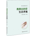 南美白对虾生态养殖