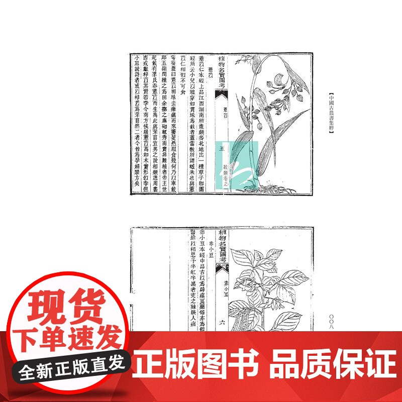 其他类二植物名实图考(2册)中国古农书集粹 (清)吴其濬撰王思明主编中国古代农书文献之精粹江苏凤凰出版社店正版高清大图