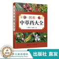 【醉染正版】图解中草药 中医入门中草药书籍药材植物彩图中药 中医养生保健中草药识别百科全书 本草纲目中草药识别参考参别