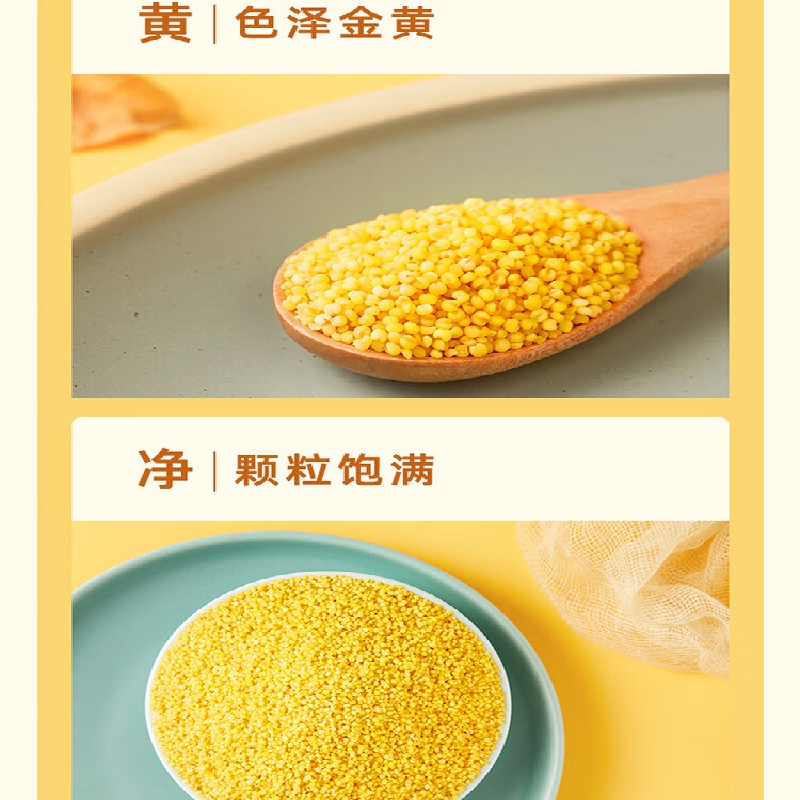 十月稻田(SHIYUEDAOTIAN) 磨米世家黄小米1kg 颗颗精选 色泽金黄 颗粒饱满 易煮易熟 软糯绵稠高清大图
