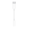 Apple USB-C转3.5毫米互转连接线iPad Pro 11 英寸 iPad Pro 12.9 英寸 (第三代)0