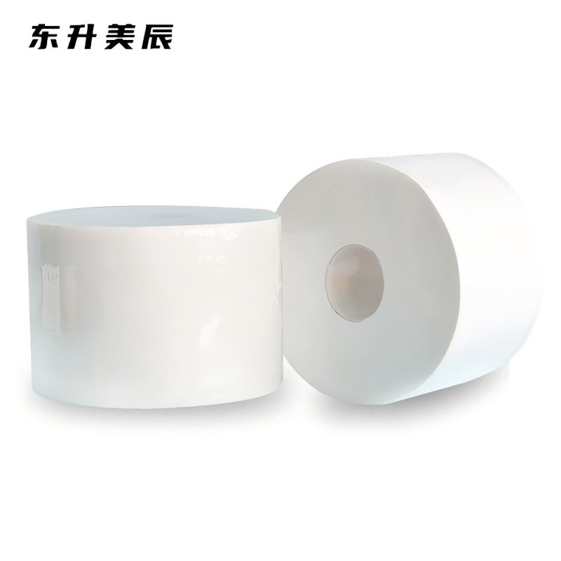 东升美辰 中心抽大盘纸700g9.5cm 12卷 DS-BH240 箱高清大图