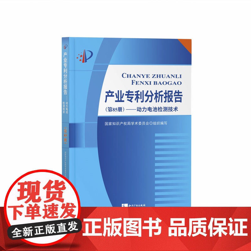产业专利分析报告(第85册)动力电池检测技术 国家知识产权局学术委员会 知识产权出版社