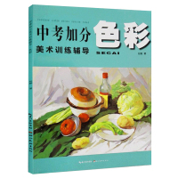 中考加分美术训练辅导色彩 赵毅 入门自学零基础初级绘画教材 绘画技法基础教材 素描基础美术教程书籍 湖北美术出版社 新华
