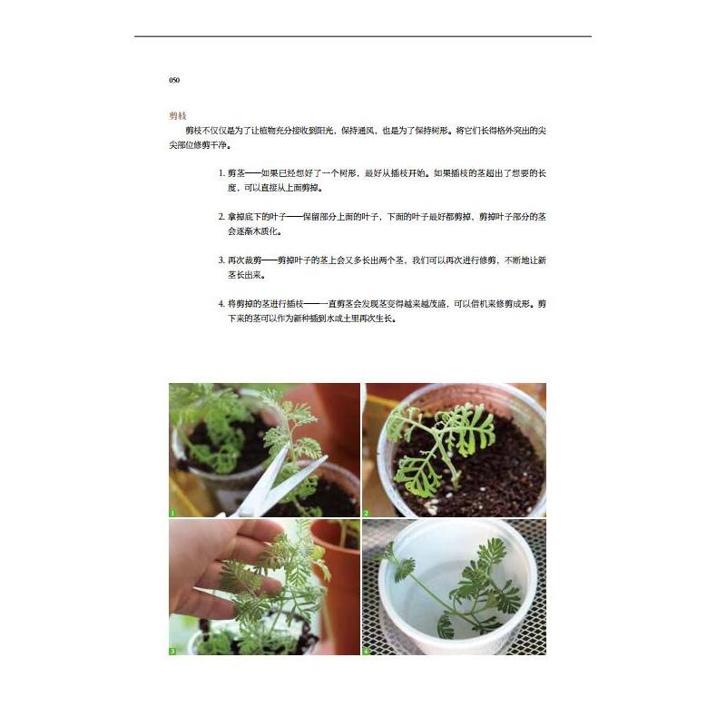 [醉染正版]生活-在平方米空间内打造我的室内花园 韩吴河娜著 吴玉译 打造成浪漫又清新的小花园 净化空气和装饰效果的绿植