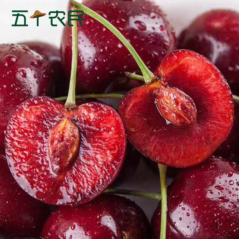 [五个农民]智利进口原箱santina桑提娜JJ级车厘子2500g红宝石樱桃新鲜水果顺丰空运
