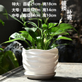 中号 花盆陶瓷特价清仓中号带托盘创意白色绿萝欧式简约超大桌面