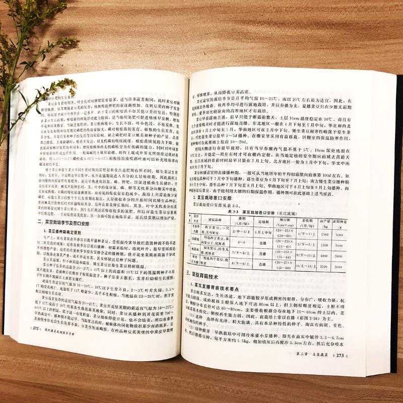 [醉染正版]现代蔬菜栽培技术手册 王迪轩 编 种植业 专业科技 化学工业出版社 9787122329431 正版图书高清大图