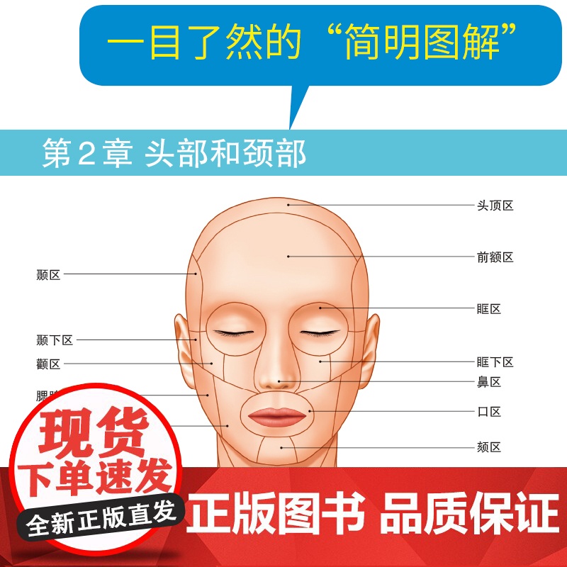 3D人体解剖图200个精密3D图例人体肌肉解剖运动解剖学断层局部解剖学图谱教材卫生解剖生理学专业基础医学图谱人体解剖学书高清大图