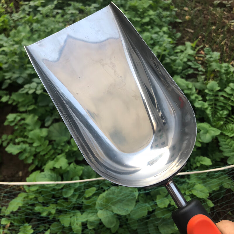 3M 平头铲 园艺不锈钢小铲子高清大图