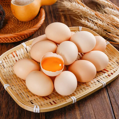【熊猫鸟】新鲜虫草鸡蛋 40枚装 农家散养新鲜正宗草鸡蛋笨柴鸡蛋孕妇月子蛋整箱