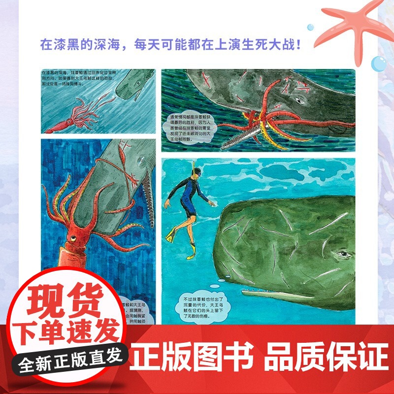 手绘海洋动物(修订版) 海洋百科全书 彩图绘本 海洋生物科普读物 海底世界科普百科全书 你不可不知的海洋之谜书籍高清大图