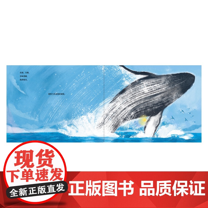 不渺小的尘埃 美吉兰尼霍夫曼上海译文出版社阿根廷欧亨尼娅梅略绘欧美亲子共读图画书自然科普幼小衔接高清大图